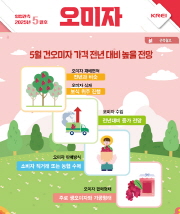 오미자월보표지