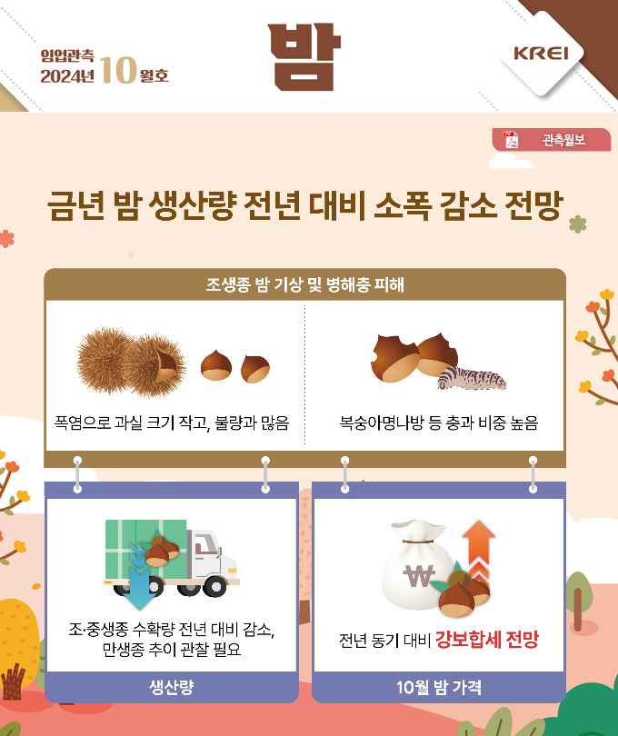 인포그래픽 썸네일