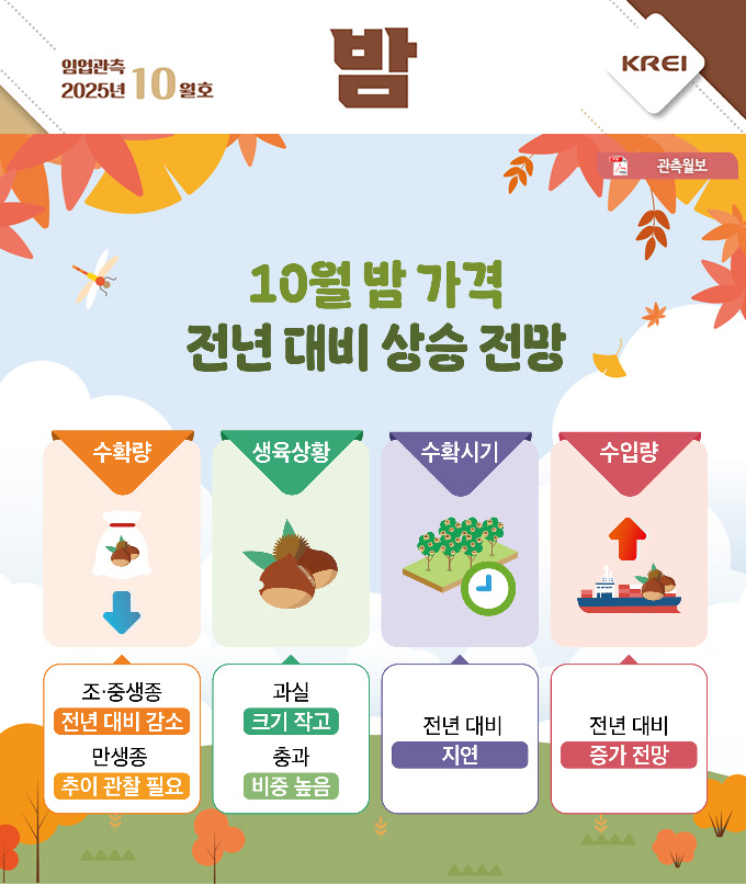 인포그래픽 썸네일