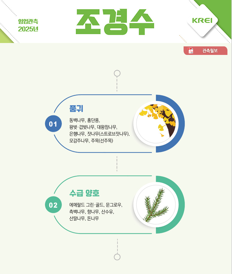 인포그래픽