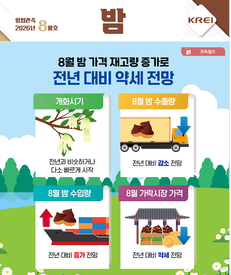 인포그래픽