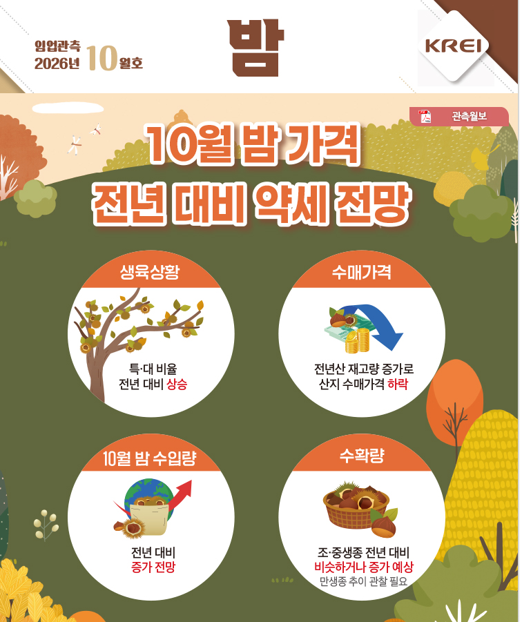 인포그래픽 썸네일