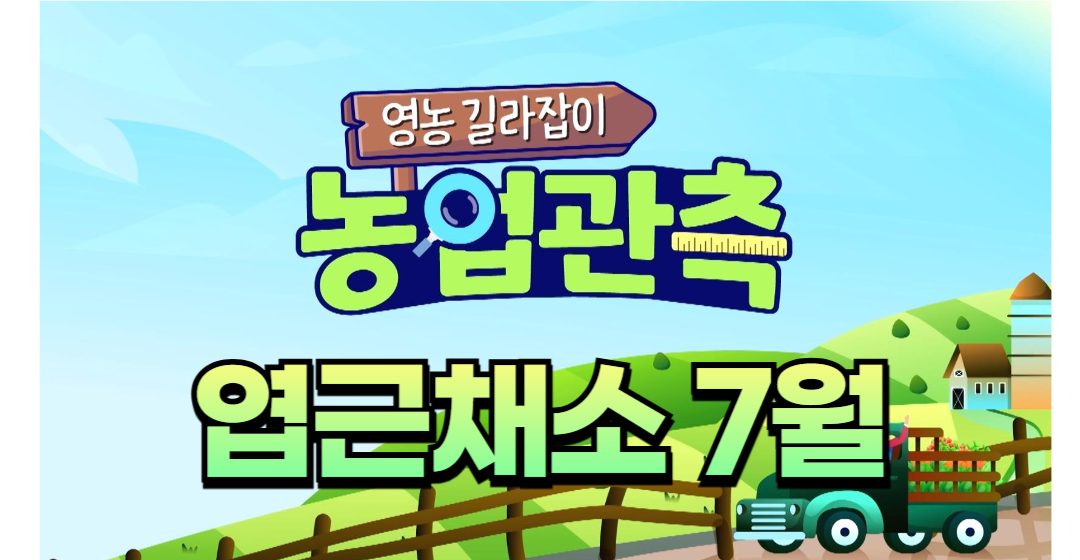 미디어 썸네일